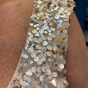 champagne Sequin Dress